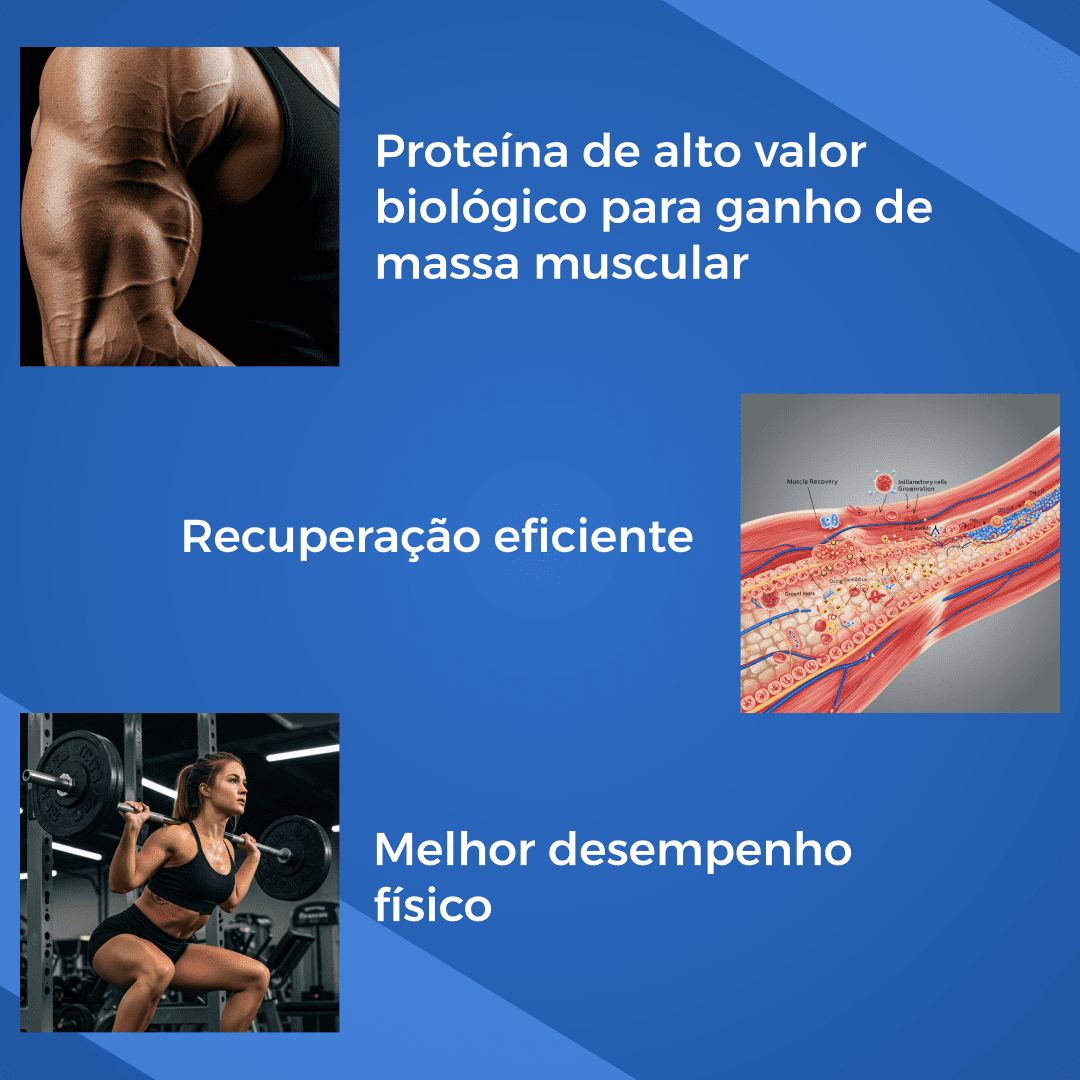 Kit 2x Whey Pro 1kg Max Titanium - Vitalis Sport™